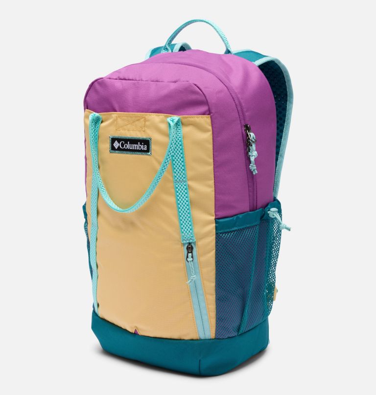 echo mountain 25l backpack