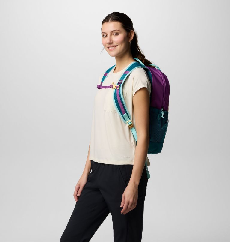 echo mountain 25l backpack