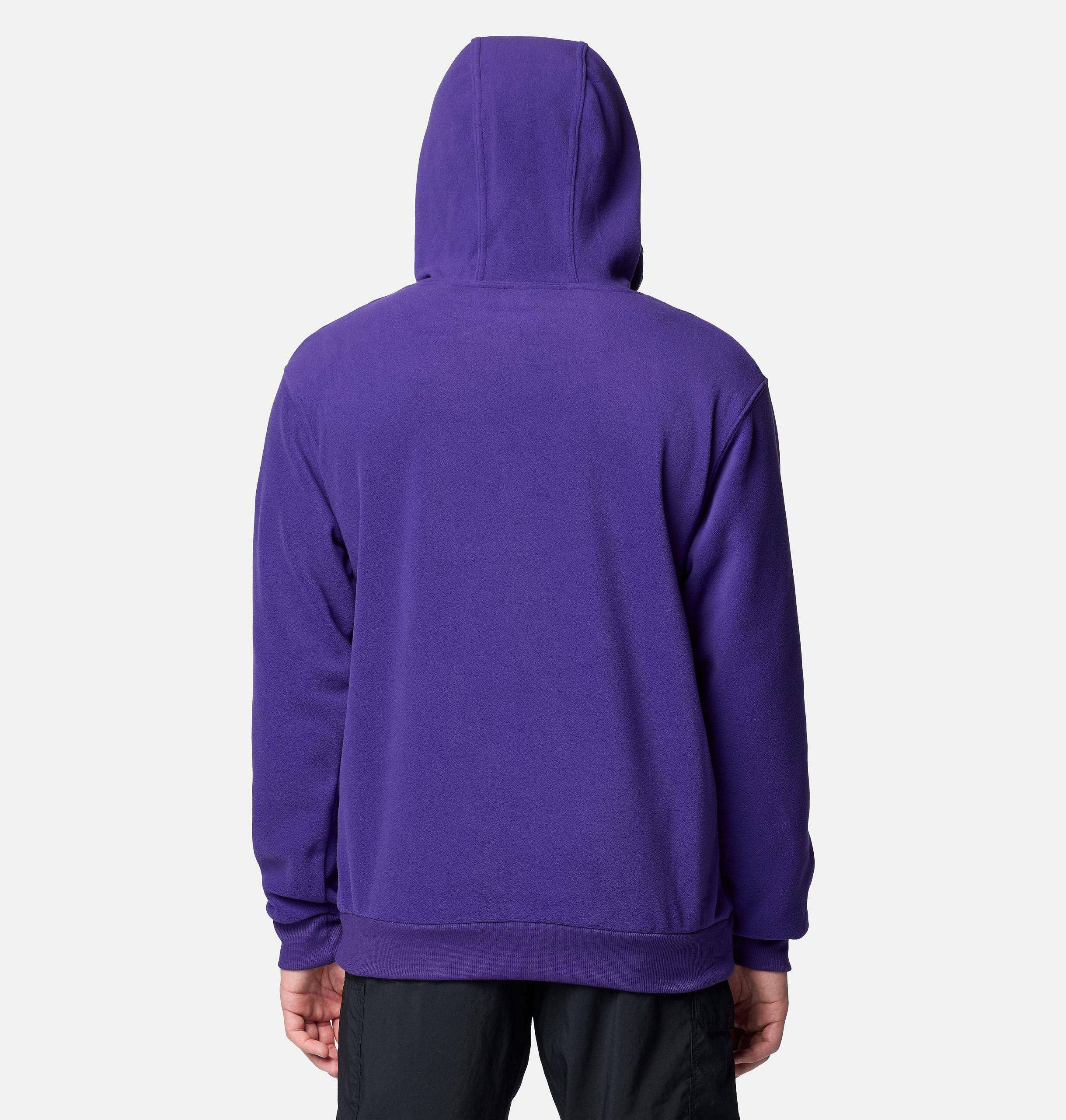 hoodie lomra flanker coláisteach fir - washington