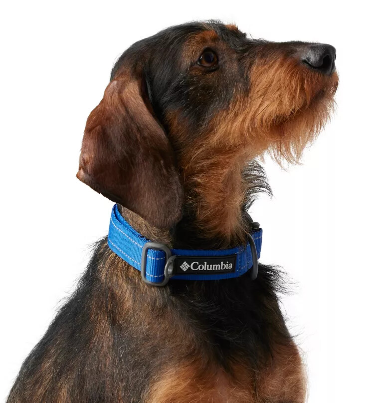 silver ridge dog collar