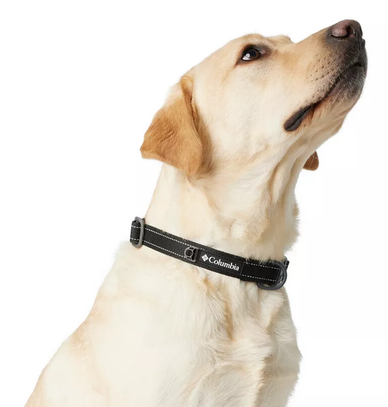 silver ridge dog collar